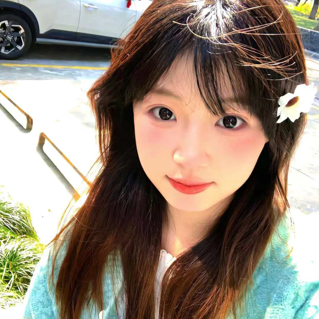 森林之北