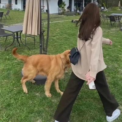 异邦人们